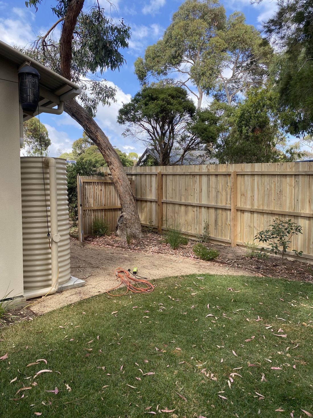 Standard timber paling fence