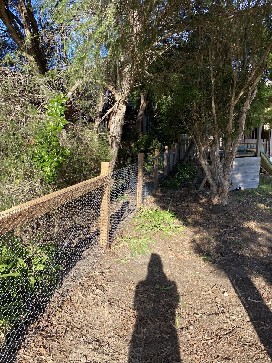 Chicken wire with cypress posts